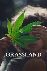 Grassland (2024)
